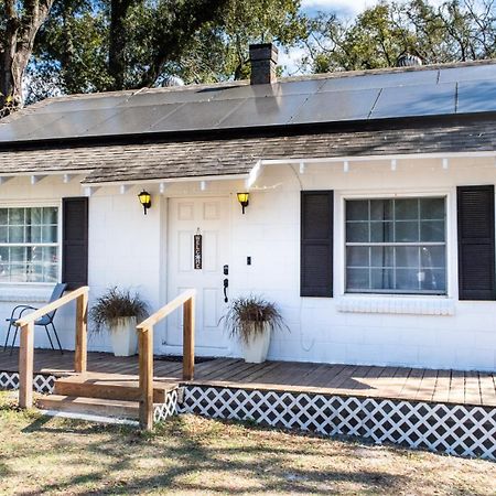 Cozy Home Near Busch Gardens Adventure Island And Usf Tampa Eksteriør bilde